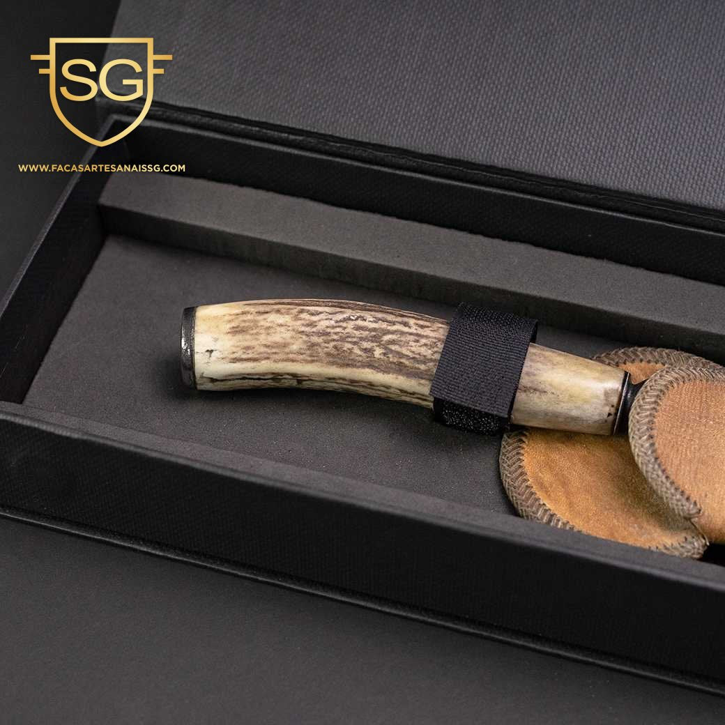 Damasco - Cabo Cervo